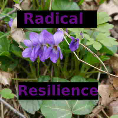 avatar for radicalresilience@todon.nl