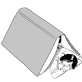 avatar for Sandra