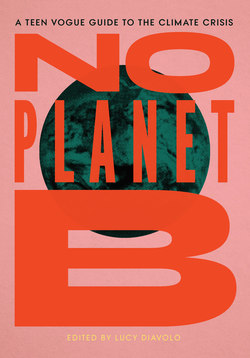 Lucy Diavolo: No Planet B (2021, Haymarket Books)