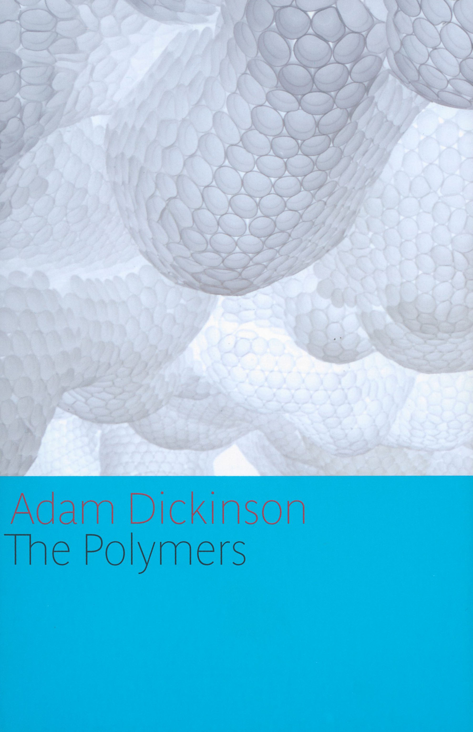 Adam Dickinson: The polymers (2013, House of Anansi Press)
