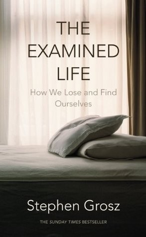 Stephen Grosz: The examined life (2013)