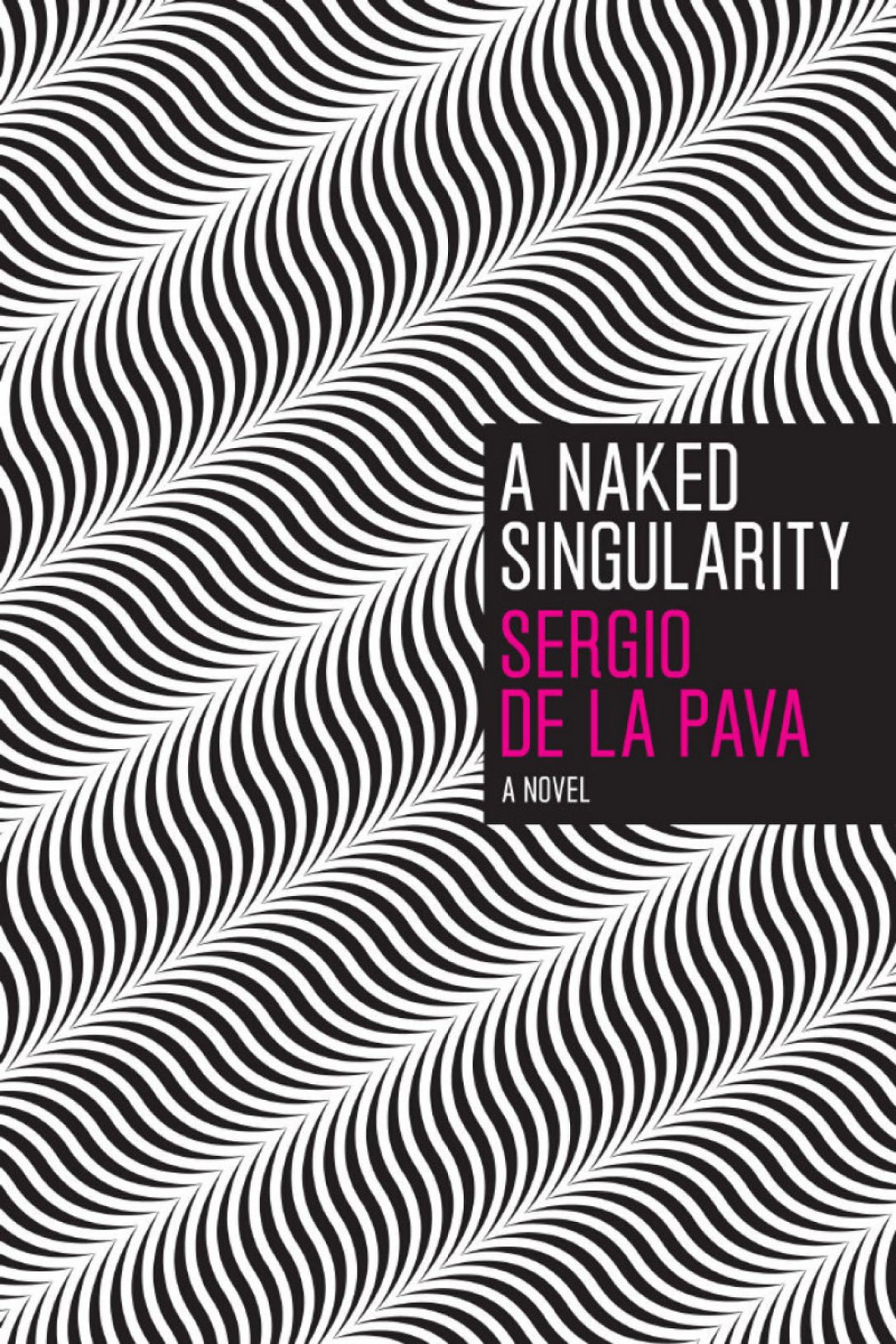 Sergio de la Pava: A naked singularity (2012)