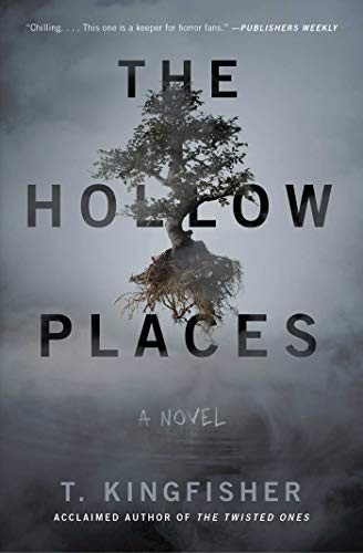 T. Kingfisher: The Hollow Places (Paperback, 2020, Gallery / Saga Press)