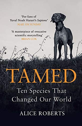 Alice Roberts: Tamed (Paperback, 2018, Windmill Books)