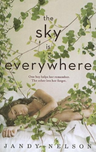 Jandy Nelson: The Sky Is Everywhere (2011, Perfection Learning)