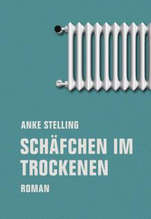 Anke Stelling: Schäfchen im Trockenen (Deutsch language, Verbrecher Verlag)