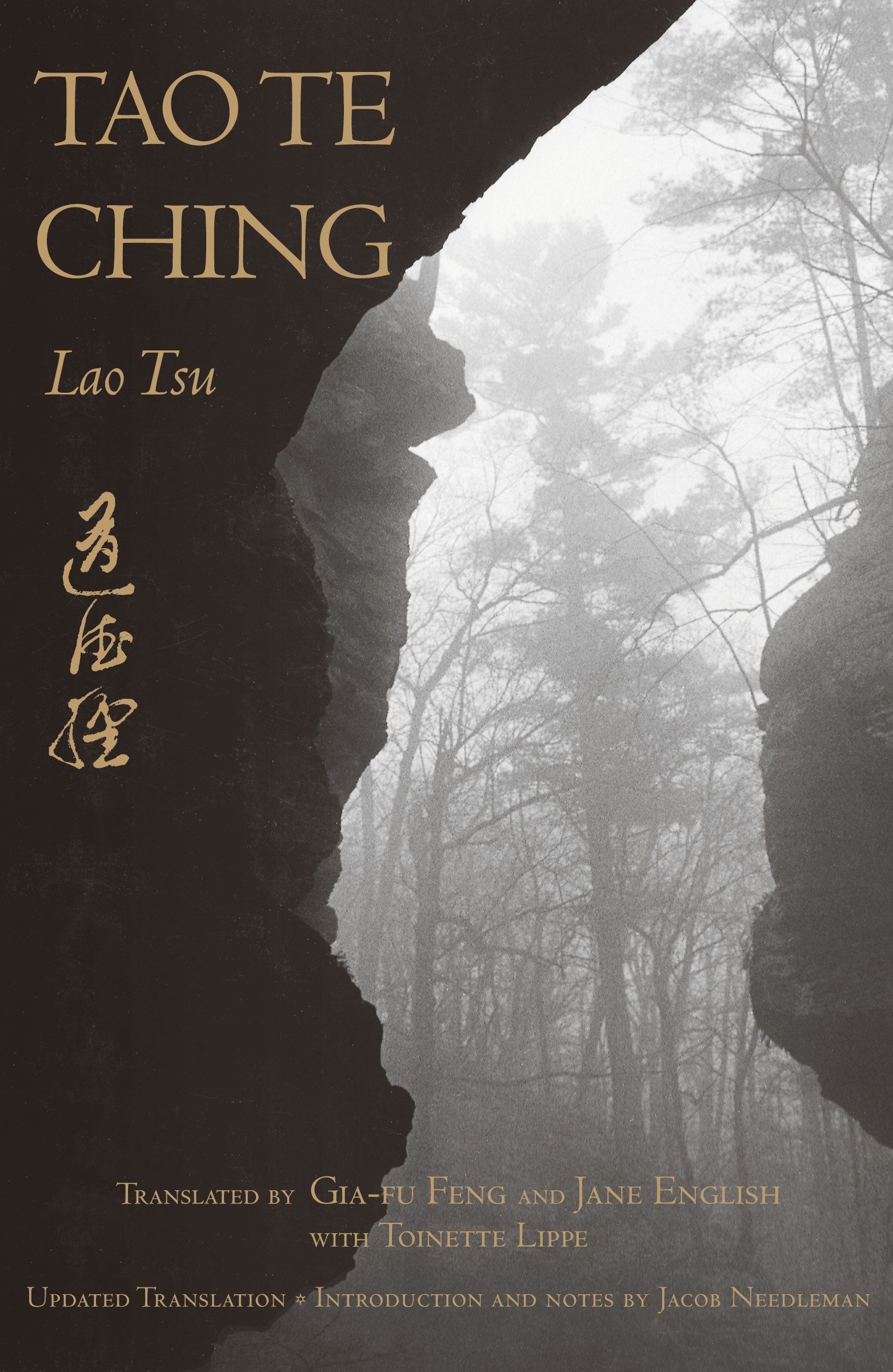 Laozi, Gia-Fu Feng, Jane English, Toinette Lippe, Jacob Needleman: Tao Te Ching (Paperback, 1989, Vintage)
