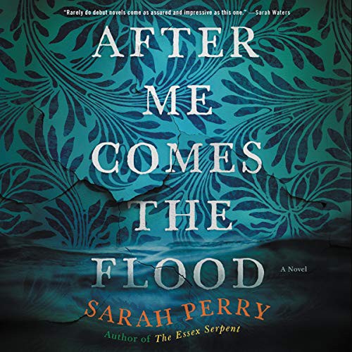 Sarah Perry: After Me Comes the Flood (AudiobookFormat, 2020, Harpercollins, HarperCollins B and Blackstone Publishing)