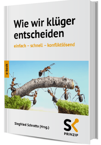 Siegfried Schrotta: Wie wir klüger entscheiden (EBook, German language, Styria Printshop Druck GmbH)