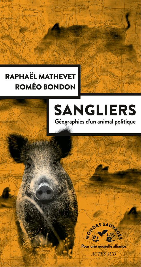 Sangliers (Paperback, French language, Actes Sud)