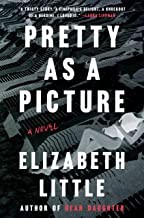 Elizabeth Little: Pretty as a picture : a novel (Hardcover, 2020, Viking, an imprint of Penguin Random House LLC)
