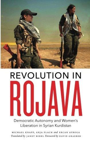 Anja Flach, Ercan Ayboğa, Michael Knapp: Revolution in Rojava (2016)