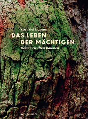 Zora del Buono: Das Leben der Mächtigen (Deutsch language, 2016, Matthes & Seitz Berlin)