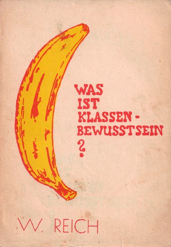 Wilhelm Reich: Was ist Klassenbewusstsein? (Paperback, German language)
