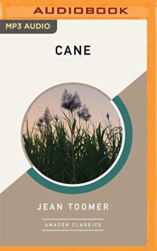 Ron Butler, Jean Toomer: Cane (AudiobookFormat, 2019, Brilliance Audio)