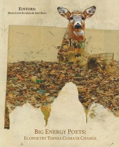 Heidi Lynn Staples: Big Energy Poets (Paperback, 2017, BlazeVOX [books])