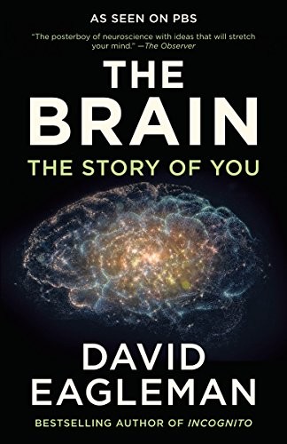 David Eagleman: The Brain (2017, Vintage)