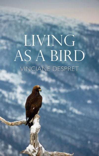 Vinciane Despret, Helen Morrison: Living As a Bird (Paperback, 2021, Polity Press)