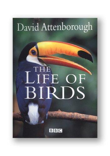 David Attenborough: The Life of Birds (1998)