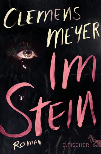 Clemens Meyer: Im Stein (2013, S. Fischer Verlag)