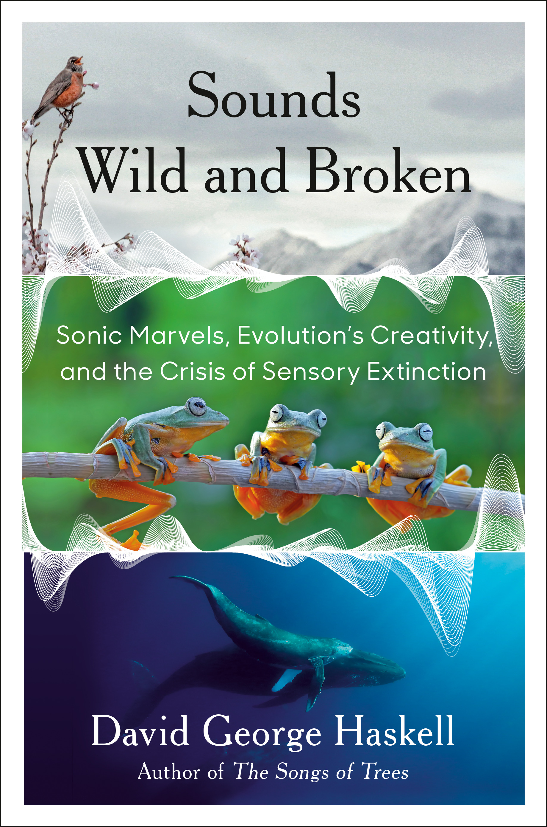 David George Haskell: Sounds Wild and Broken (2022, Penguin Publishing Group)