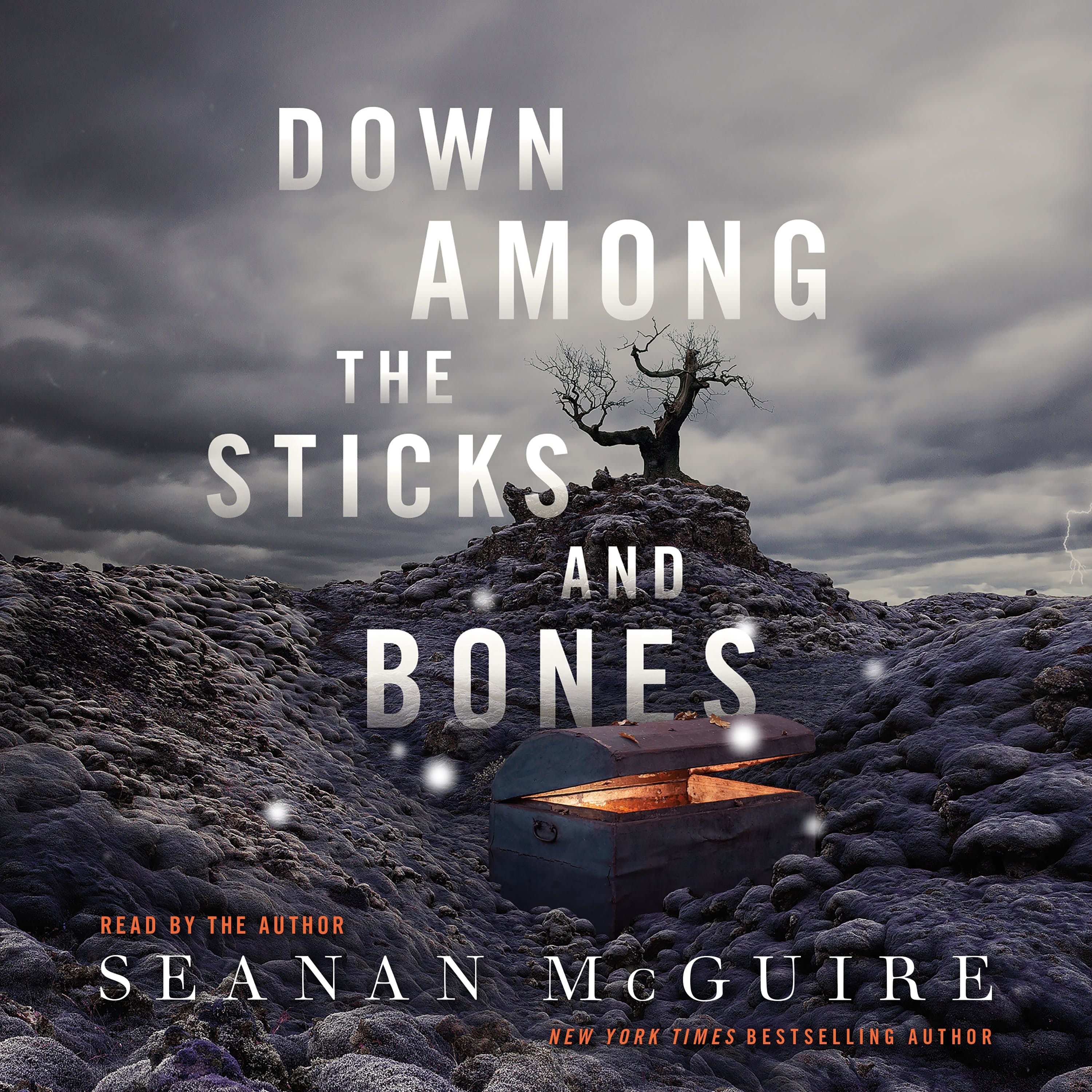 Seanan McGuire: Down among the sticks and bones (AudiobookFormat)