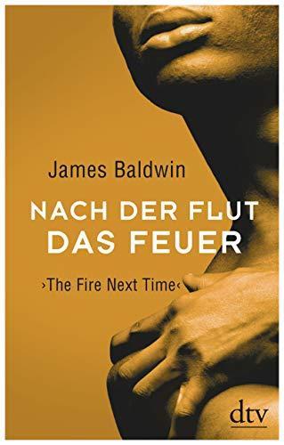 James Baldwin: Nach der Flut das Feuer (German language, 2019, dtv Verlagsgesellschaft)