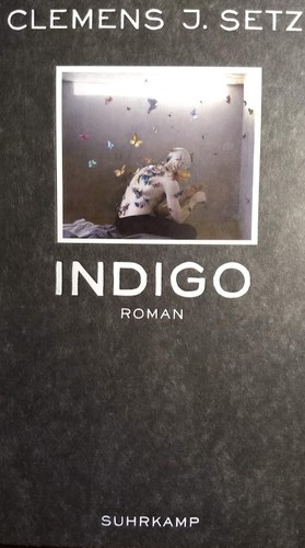 Clemens J. Setz: Indigo (Hardcover, German language, 2012, Suhrkamp)