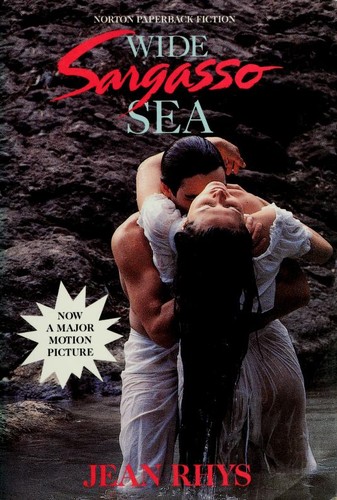 Jean Rhys: Wide Sargasso Sea (Paperback, 1993, W. W. Norton)