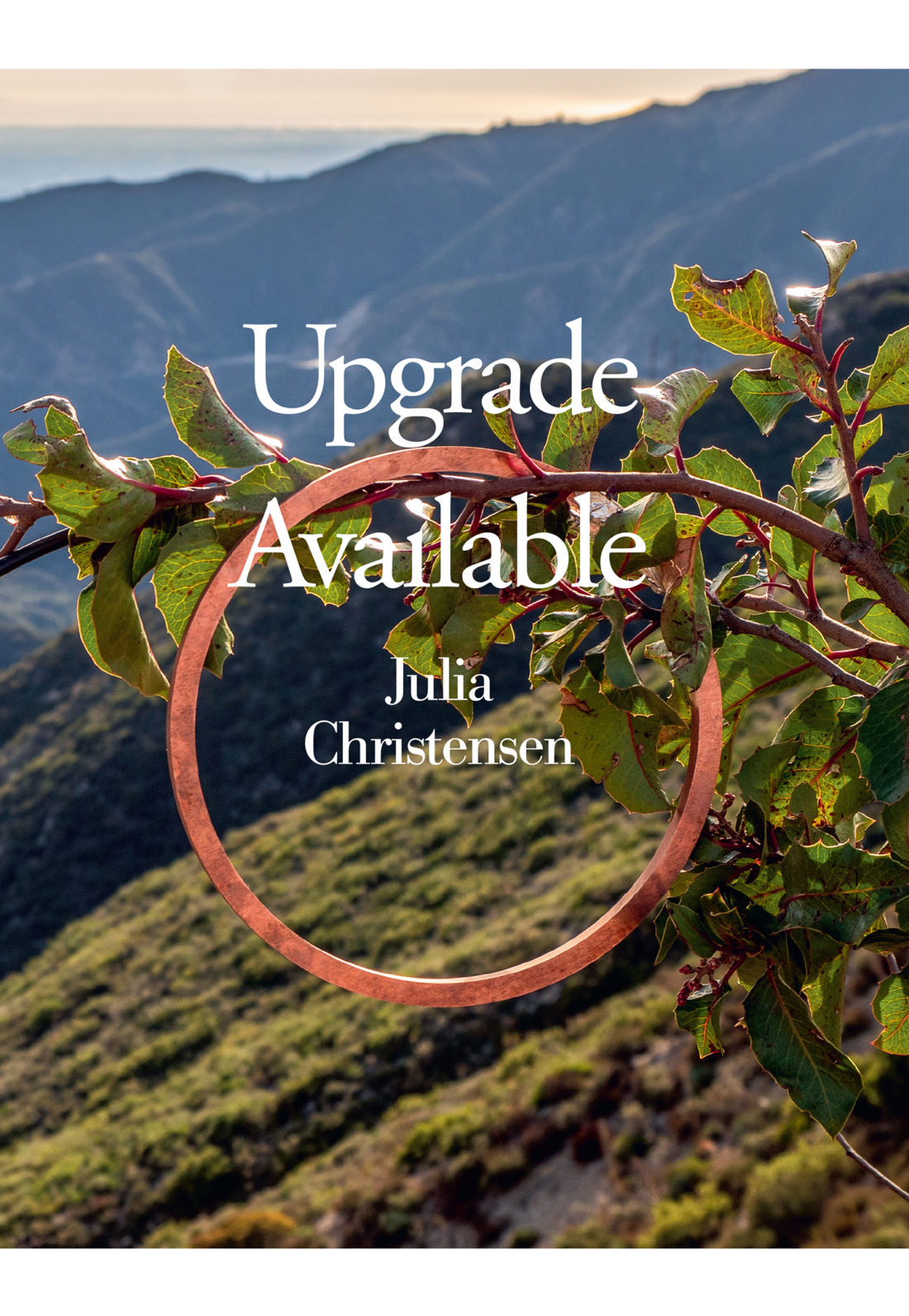 Julia Christensen, Barbara Schroeder, Cory Arcangel, Rick Prelinger: Upgrade Available (2020, Dancing Foxes Press)