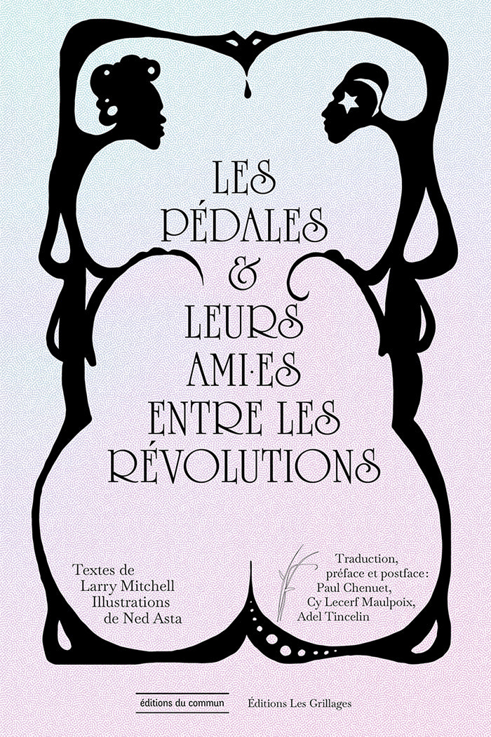 Larry Mitchell, Ned Asta: Les pédales et leurs ami•es entre les révolutions (Hardcover, Français language, Editions du commun)