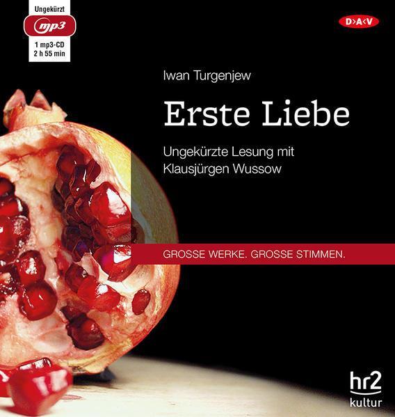 Ivan Sergeevich Turgenev: Erste Liebe (German language, 2016)