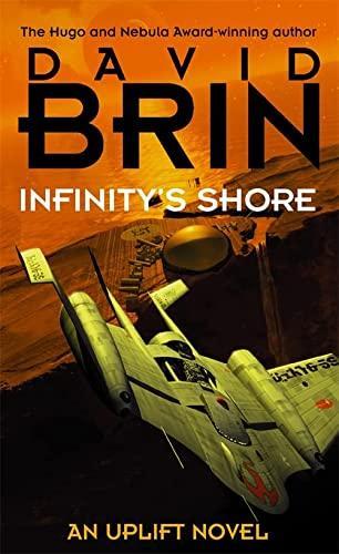 David Brin: Infinity's shore