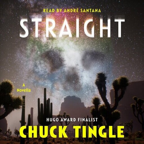 Chuck Tingle: Straight (AudiobookFormat, 2023, Macmillan Audio)
