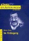 Günter Grass: Im Krebsgang (Paperback, German language, 2002, C. Bange GmbH & Co KG)