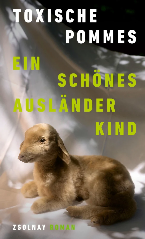 Toxische Pommes: Ein schönes Ausländerkind (Hardcover, Deutsch language, Zsolnay)