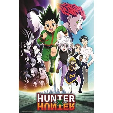 Yoshihiro Togashi: Hunter x hunter. (2008, Viz Media)