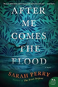 Sarah Perry: After me comes the flood : a novel (Paperback, 2020, Custom House, an imprint of William Morrow)