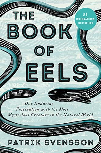 Patrik Svensson: The Book of Eels (2020, Ecco)
