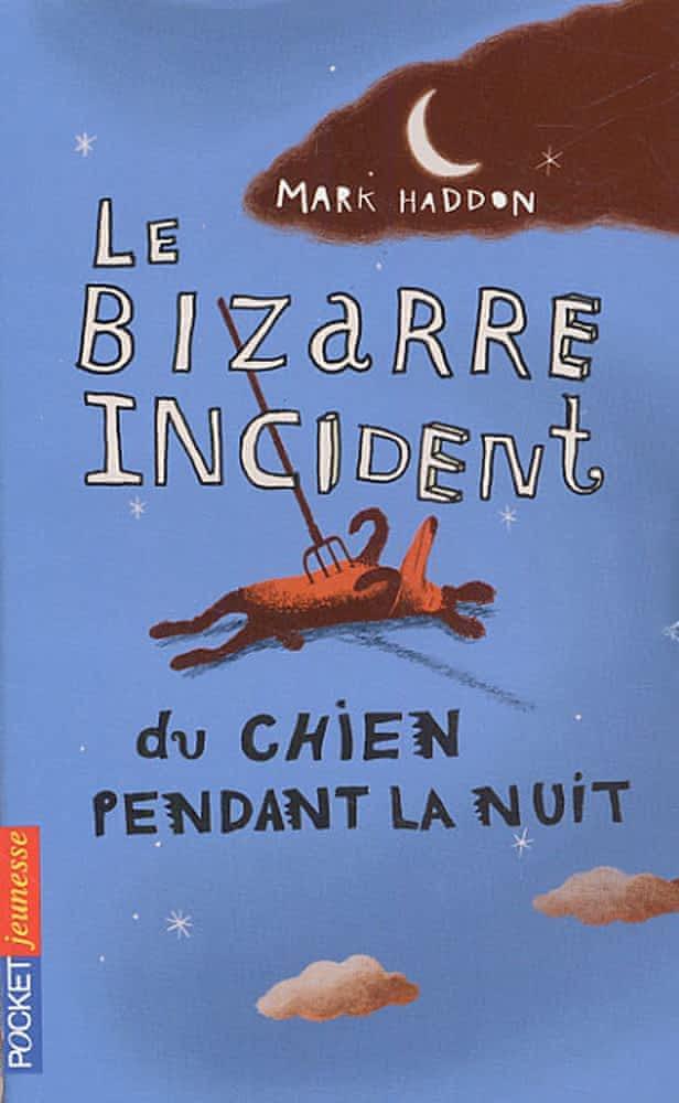 Mark Haddon: Le bizarre incident du chien pendant la nuit : roman (French language, 2005, Pocket Jeunesse)