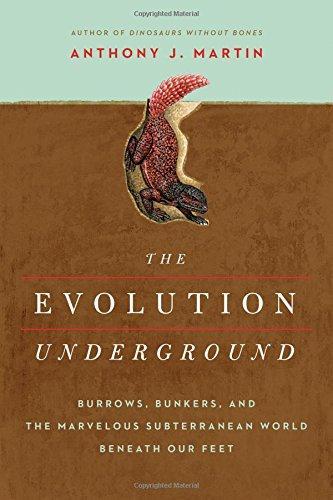 The Evolution Underground (2017)