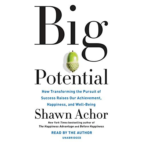 Shawn Achor: Big Potential (AudiobookFormat, 2018, Random House Audio)