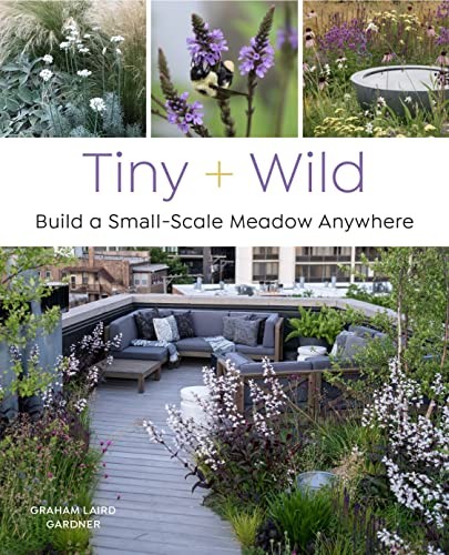 Tiny and Wild (2023, Quarto Publishing Group USA)