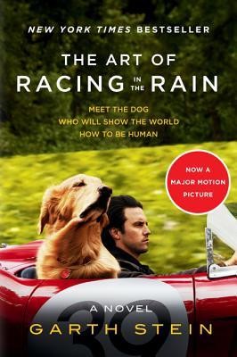 Garth Stein: The Art Of Racing In The Rain (2019, Harper)