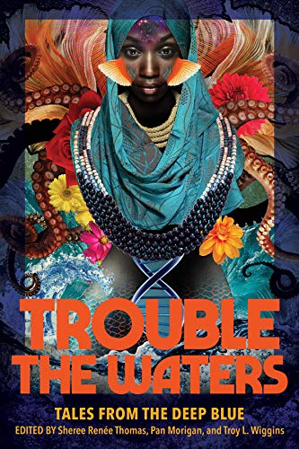 Sheree Renée Thomas: Trouble the Waters (Paperback, Third Man Books)