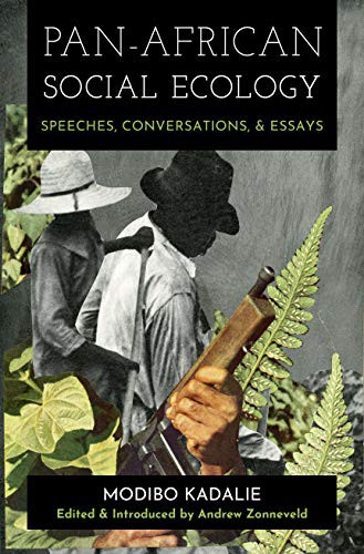 Modibo Kadalie, Andrew Zonneveld: Pan-African Social Ecology (Paperback, 2019, On Our Own Authority!)