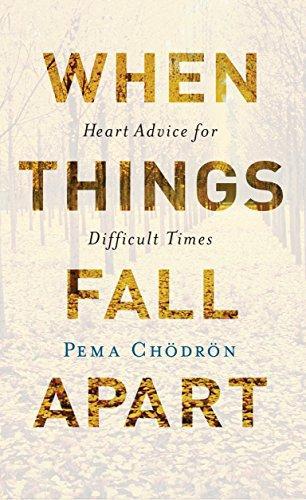 Pema Chodron: When Things Fall Apart (2016)