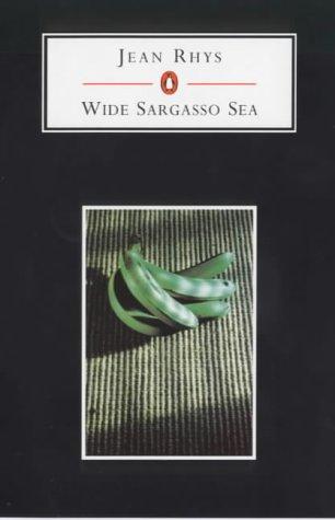 Jean Rhys: Wide Sargasso Sea (Penguin Student Editions) (2001, Penguin Classics)