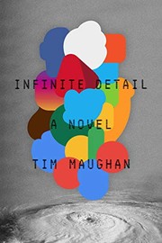 Infinite Detail (Paperback, 2019, MCD x FSG Originals)