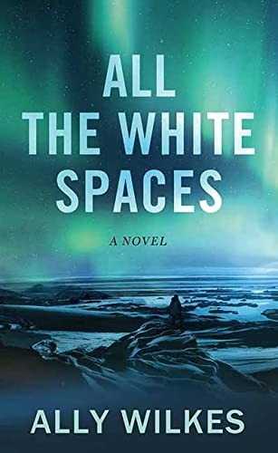 Ally Wilkes: All the White Spaces (2022, Center Point Large Print)